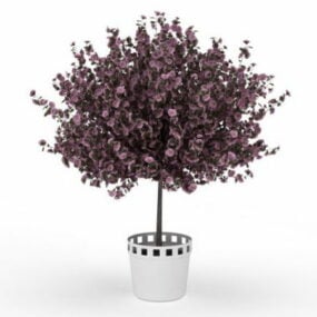 Mô hình 3d chậu cây tím nở hoa trong nhà