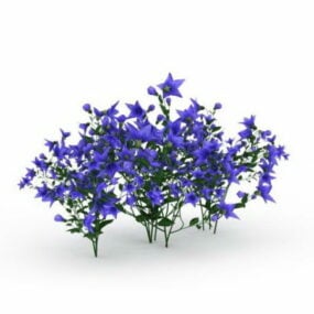Hageblå vårblomster 3d-modell