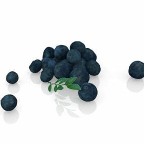 Natuur Bosbessen Fruit 3D-model
