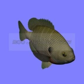 Bluegill Fisch Tier Tier 3D-Modell