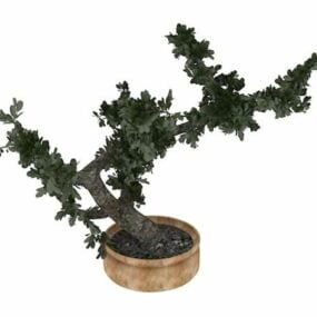 Modelo 3d de árvore bonsai interna