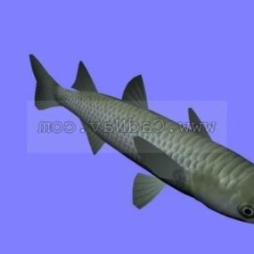Animal Bora Mullet Fish דגם תלת מימד