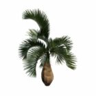 Ofis dekorasyon palmiye ağacı şişe