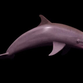 Divoký 3D model delfína skákavého