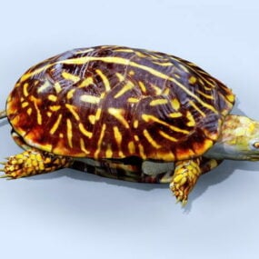 Model 3D dzikiego żółwia morskiego