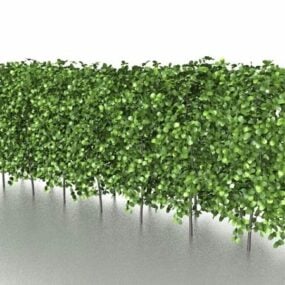 Garden Box Hedging With Topiary 3d model