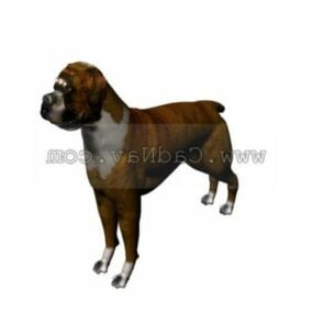 3д модель животного боксера собаки