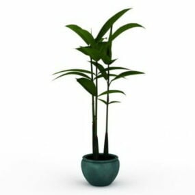 Modelo 3d de planta em vaso de folha larga interna