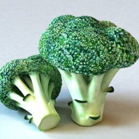 3д модель овощей брокколи