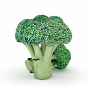 Nature Broccoli Vegetable 3d model