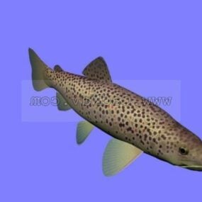 Kahverengi Alabalık Balık Hayvanı 3d modeli