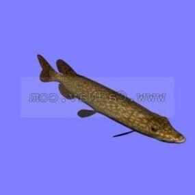 Mô hình động vật 3d lươn Pike Conger