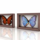 Butterfly Framed Showcase