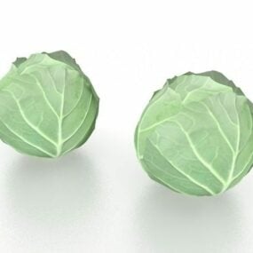 Fresh Cabbage Vegetable 3d model