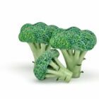 Calabrese Broccoli Vegetables