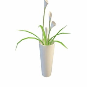 Calla Lily ve váze dekorace 3D model