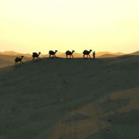 3д модель каравана верблюдов в пустыне