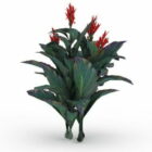 カンナインディカの花植物