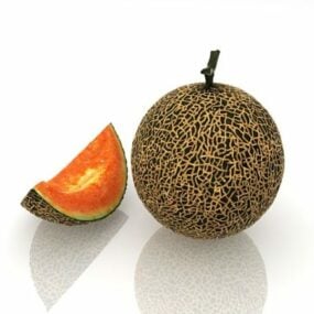 Cantaloupe Melon Fruit 3d model