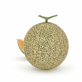 Tranche de cantaloup aux fruits modèle 3D