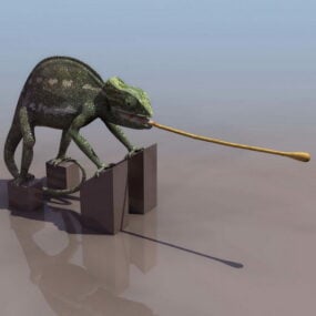 Animal Cape Dwarf Chameleon 3d model