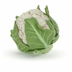 Cauliflower Vegetable 3d model