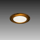 House Ceiling Mounted Lamp