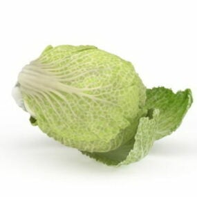 Celery Cabbage Vegetable 3d model