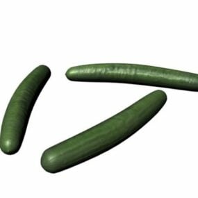 Cetriolo Cucumber Vegetable 3d model