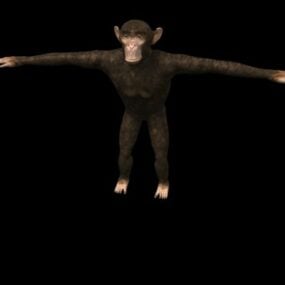 Model 3D dzikiego szympansa