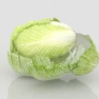 Chinese Cabbage Vegetable
