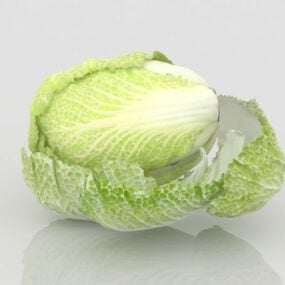 مدل سه بعدی سبزیجات کلم چینی