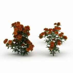 Indoor Chinese Roses Flowers Plant 3d model
