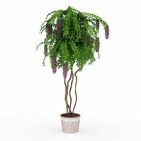 Modello 3d dell'albero bonsai di glicine dell'ufficio interno