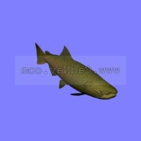 Model 3d Salmon Chinook Haiwan Laut