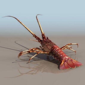 Sea Clawed Lobster 3D-malli