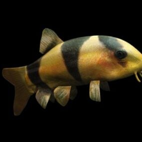 Τρισδιάστατο μοντέλο Wild Clown Loach Clownfish