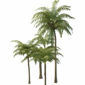 BahçeHindistan Cevizi Palmiye Ağaçları 3D model