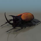 Zvířecí Coleoptera brouk