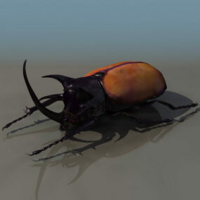 3д модель животного жесткокрылого жука