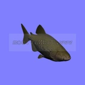 Sea Animal Colossoma Macropomum 3d model