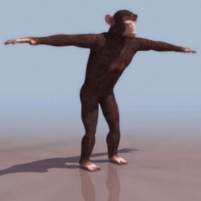 דגם תלת מימד של שימפנזה מצוי