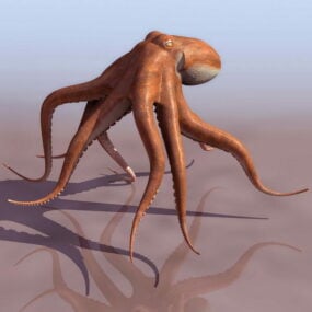 Sea Common Octopus דגם תלת מימד