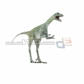 Animal Compsognathus Dinosaur 3d model