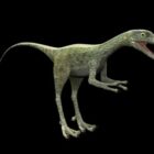 Wild Compsognathus Dinosaur