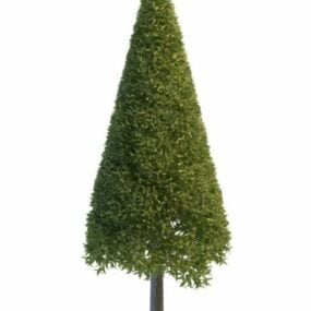 शंकु पाइन वृक्ष 3डी मॉडल