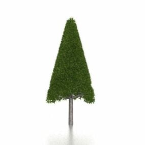 Model 3d Tumbuhan Topiary Bentuk Kon