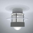 Room Mounted Ceiling Lamp