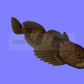 نموذج حيوان سمكة الكوتوس كازيكا ثلاثي الأبعاد