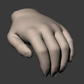 Anatomy Cupped Hand 3d model